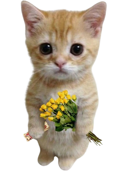 Slatka maca sa cvecem